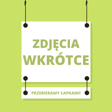 SZELKI BEZUCISKOWE “DYNIA ZŁA”