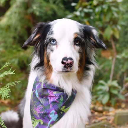 BANDANA “TAJEMNICE WYSPY NUBLAR”