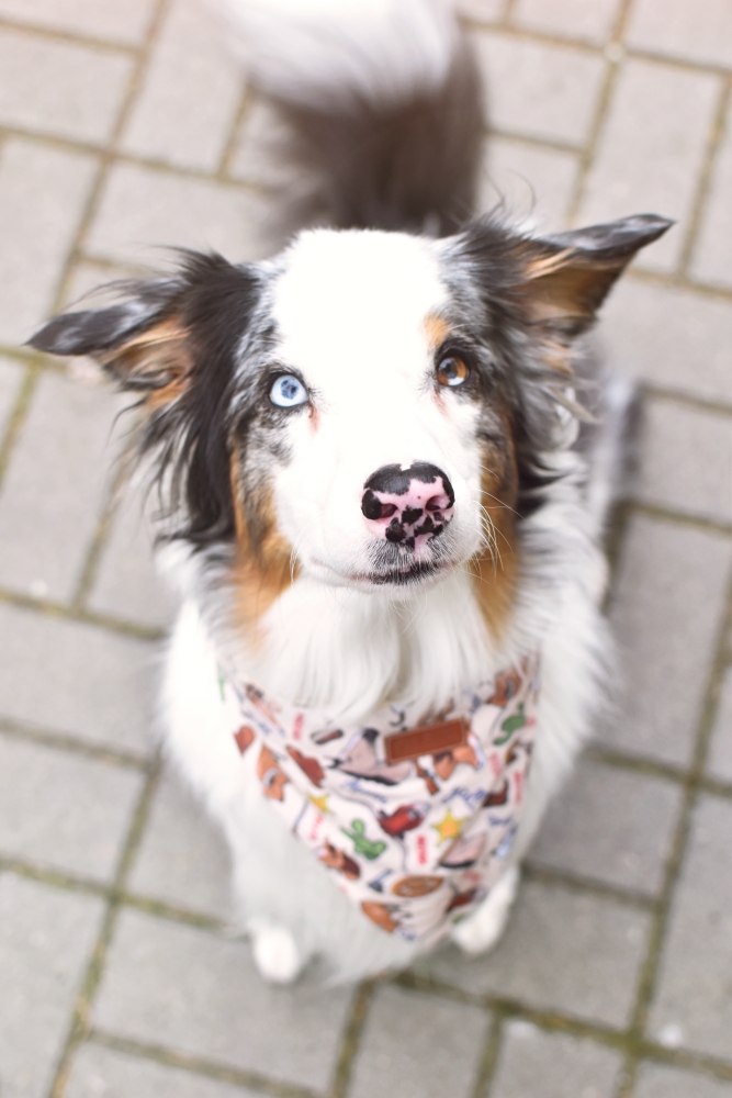 BANDANA "STAN SAMOTNEJ GWIAZDY" - obrazek 2