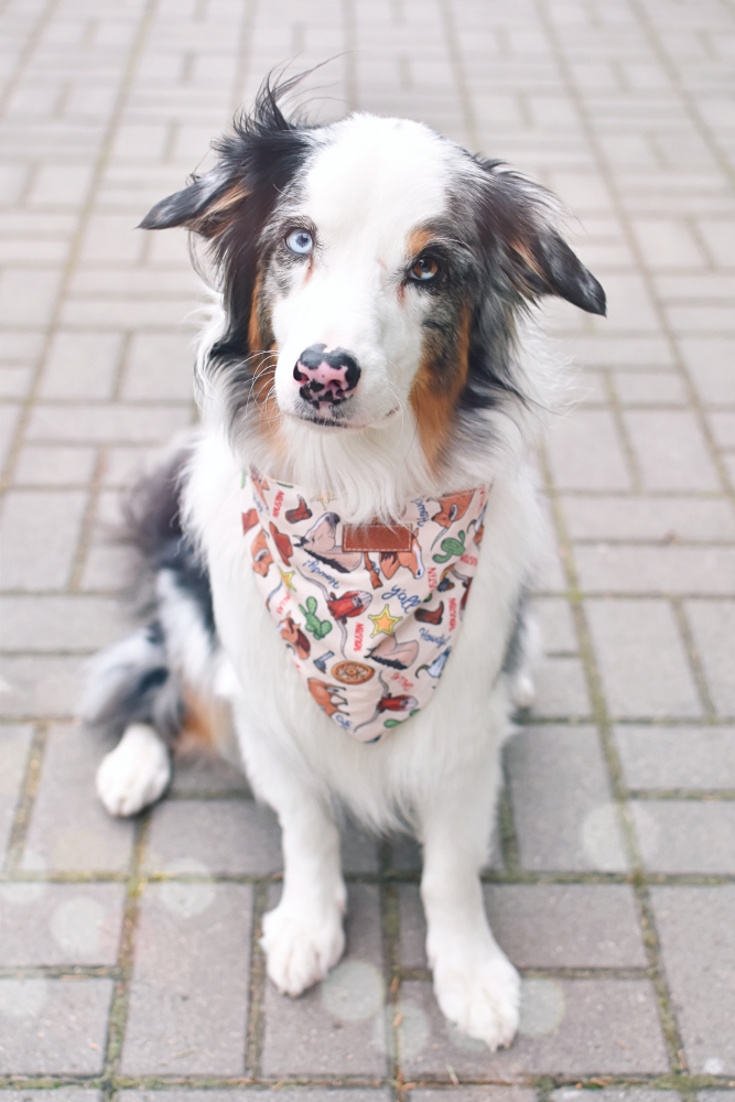 BANDANA "STAN SAMOTNEJ GWIAZDY" - obrazek 3