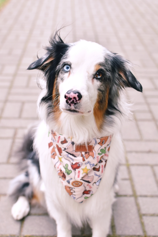 BANDANA "STAN SAMOTNEJ GWIAZDY"