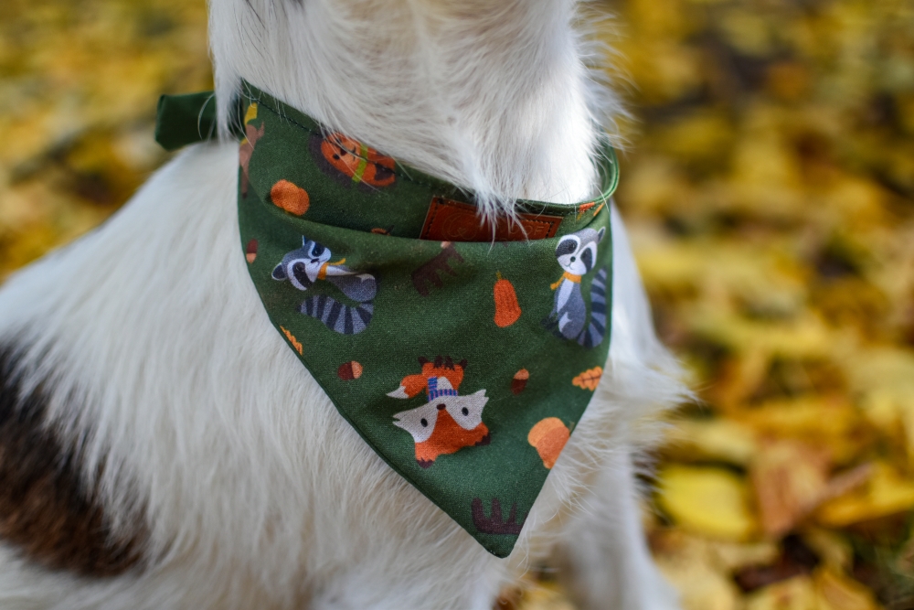 BANDANA "JESIENNE PRZYGODY" - obrazek 4